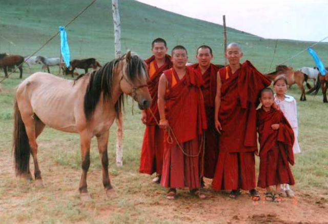 “ТОЛИН ХУЛ” зүрхэн чанадад хурдалсаар…